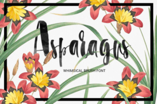 Asparagus: A Designer’s Take on Modern Script