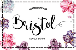 Bristol Typeface: A Designer’s Review