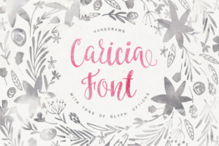 Caricia Typeface: A Gentle Script for Modern Brands
