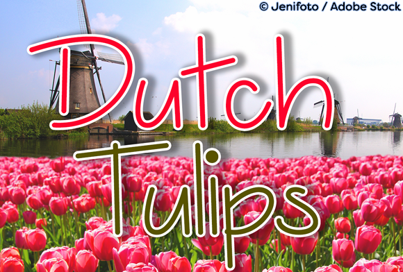 Dutch Tulips: A Refined Typeface for Editorial Design