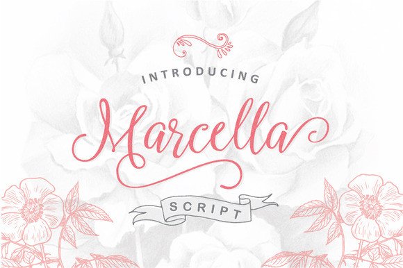 Marcella: A Stylish Script Font for Web Design