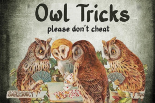 Old Story Bold: A Vintage Typeface Review