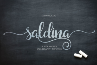 Saldina Font: Elevate Your Brand Identity