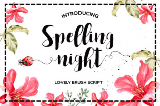 Spelling Night: A Romantic Font for Branding
