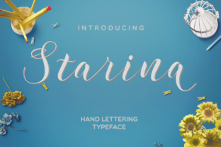 Starina: A Modern Script Font for Web Design